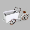Electric Adult Tricycle Family Cargo Bike Aluminium Frame 6 Gear Speeds Drift Trike for Grocery Shopping And Children Transport