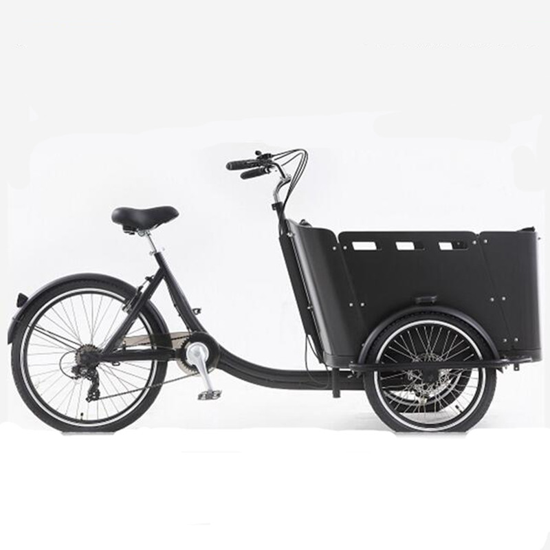 4 Seats Electric Family Cargo Bike Adult Tricycle for Transport And Grocery Shopping The Most Advanced Cargo Bike Ever Built