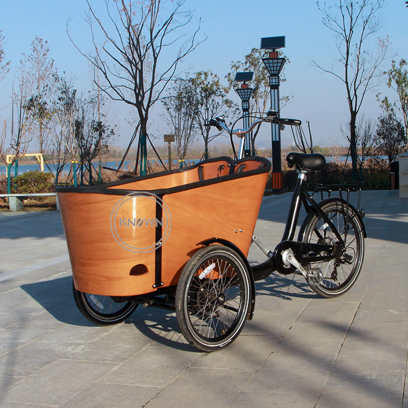 Cargo Tricycle Electrics Cheap Tricycles Box Front Support Pedal Cargo Bike 