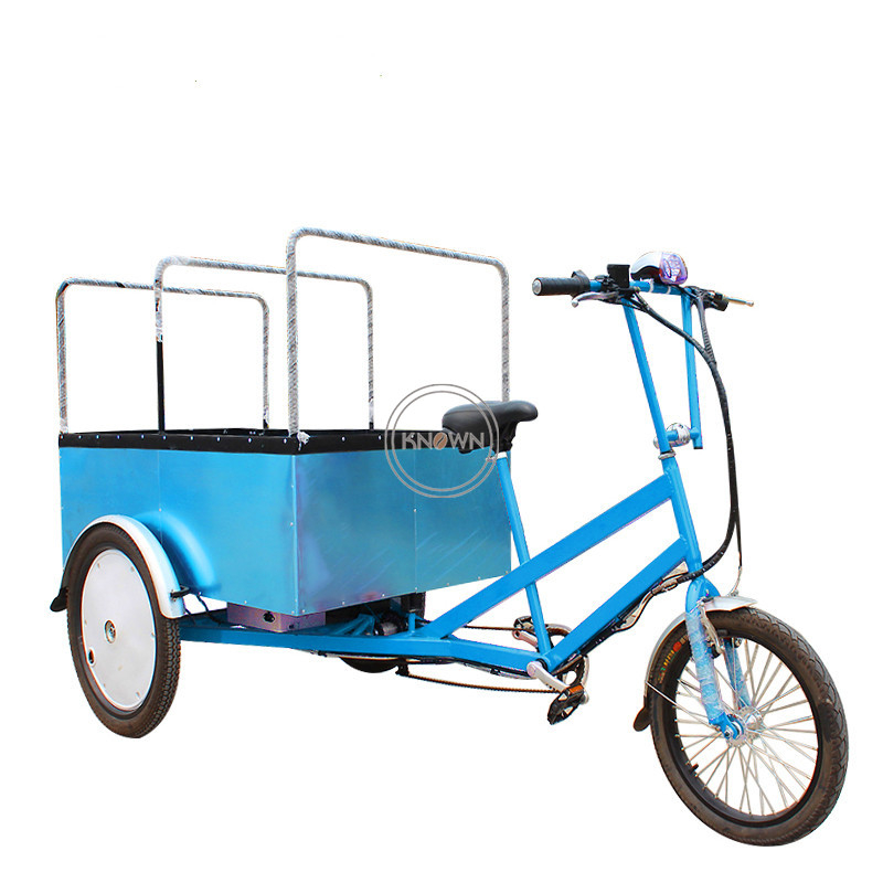 Factory Electric Cargo Bike Multi Function Bikes Vending Cart Goods Tricycle Trailer for Sale