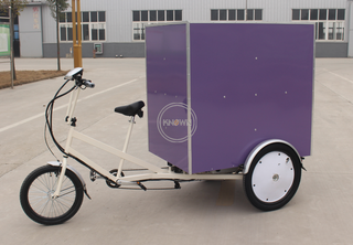 OEM Outdoor Electric Cargo Bike Tricycle Mobile Truck Food Carry Goods 3 Wheel Cart for Sale