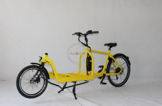 Family E-cargo Electric Bike Cargo Two Wheel Electric Cargo Bike with Passenger
