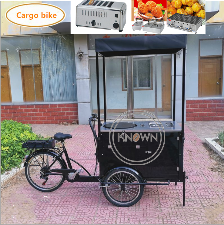 Customized Cargo Electric Tricycle for Sale Flower Adult Manpower 3 Wheel Bike with CE Certification
