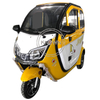 Electric Tricycle New Scooter Three Wheel Electric Vehicle Pick-up Children