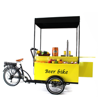 Electric Cargo Bike Adult Tricycle 3 Wheels Kiosk Mobile Food Display Cart for Coffee Fruit Beer on The Street