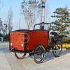 Cheap Electric Tricycles 3 Wheel Cargo Pedal Power Cargo Bike Frame 