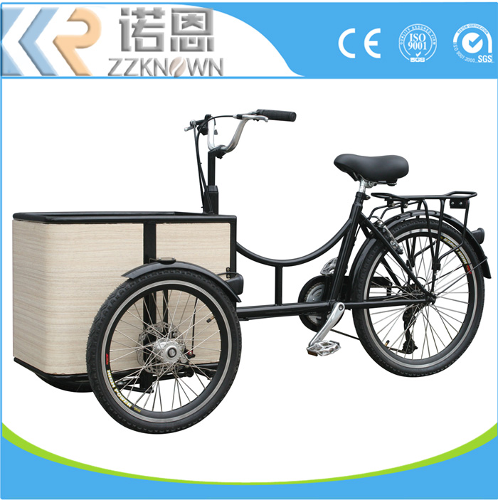 Pedal Assist Tricycle Electric 250W Delivery Electric Passenger Bicycle Cargo Bike for Sale
