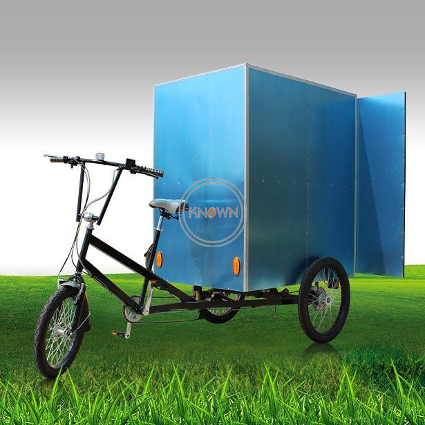 3 Wheel Electric Tricycle with CE Certification Customized Adult Cargo Bike for Delivery Goods