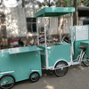 Pedal Cotton Candy Making Cart Street Food Flower Fruit Vending Bicycle Human Cargo Bike for Sale