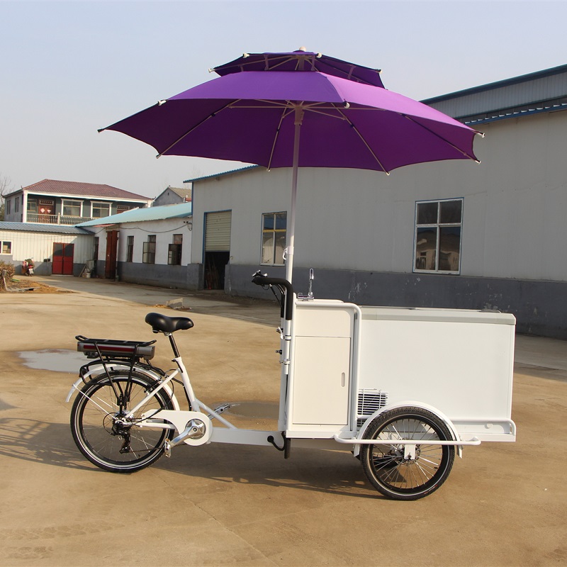 New Electric Stainless Steel Ice Cream Bike Food Cart Cargo Bicycle Customizable for Sale