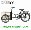Pedal Assist Tricycle Electric 250W Delivery Electric Passenger Bicycle Cargo Bike for Sale