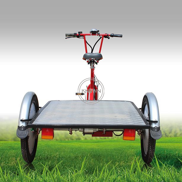 OEM Outdoor Electric Cargo Bike Baggage Transport Bike Flatbed Tricycle for Sale