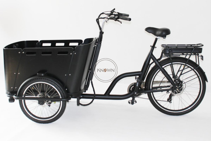 3 Wheel Tricycle Family Cargo Bike for Carry Children Dutch Cargo Bike Electric Pedal