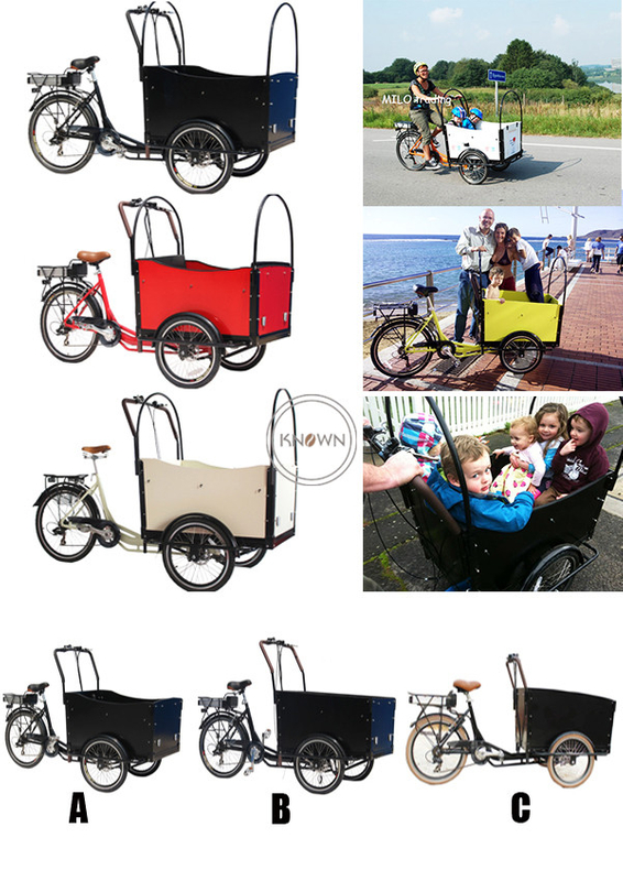 Hot Sale Street Heavy Duty Cargobike Cargo Tricycle Pedal Electric Dutch Cargo Bike for Kids