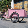 Pedal Electric Cargo Bike Pink Color Dutch Adult Tricycle Street Vending Cart for Sale Customize