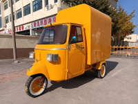 KN-APE-AR Electric Car Popsicle Ice Cream Vehicle Tricycle Cart For Sale Europe Customized APE Tricycle Food Cart