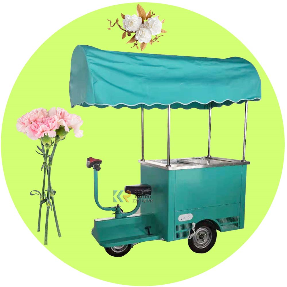 Gelato Ice Cream Cart Customized Ice Cream Display Cabinet Ice Cream Bike