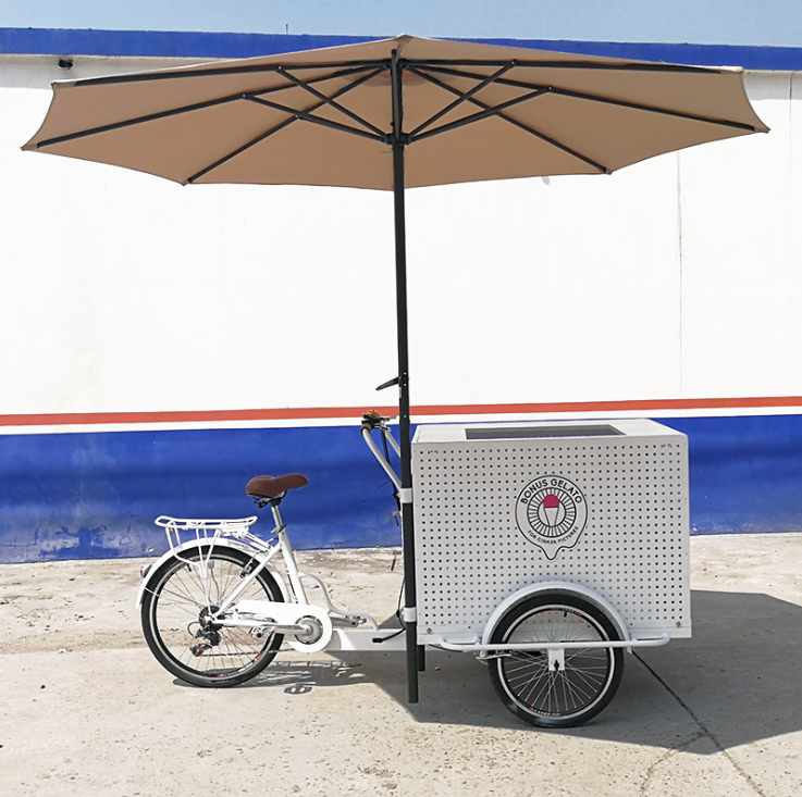 Customized 3 Wheel Cargo Bike Electric Tricycle for Sale Coffee Vending Cart with CE ISO Certification