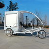 60V 1000W Popular Express Delivery Vehicle 3 Wheel Electric Tricycle for Sale