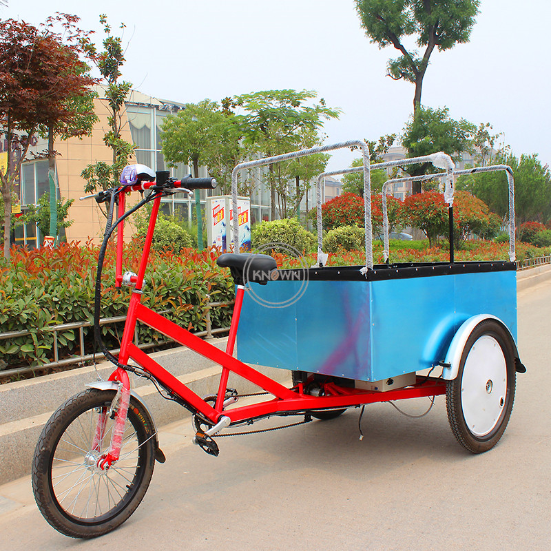 Factory Electric Cargo Bike Multi Function Bikes Vending Cart Goods Tricycle Trailer for Sale
