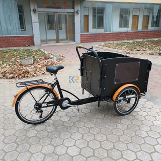 OEM Parent-Child Tricycle Small Durable Electric 3 Wheel Cargo Bike for Sale 