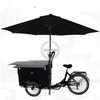 Foldable Europe Mobile Food Car Adult Tricycle Electric Cargo Bike for Sale Coffee Fruit Bread on The Street 