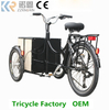 Pedal Assist Tricycle Electric 250W Delivery Electric Passenger Bicycle Cargo Bike for Sale