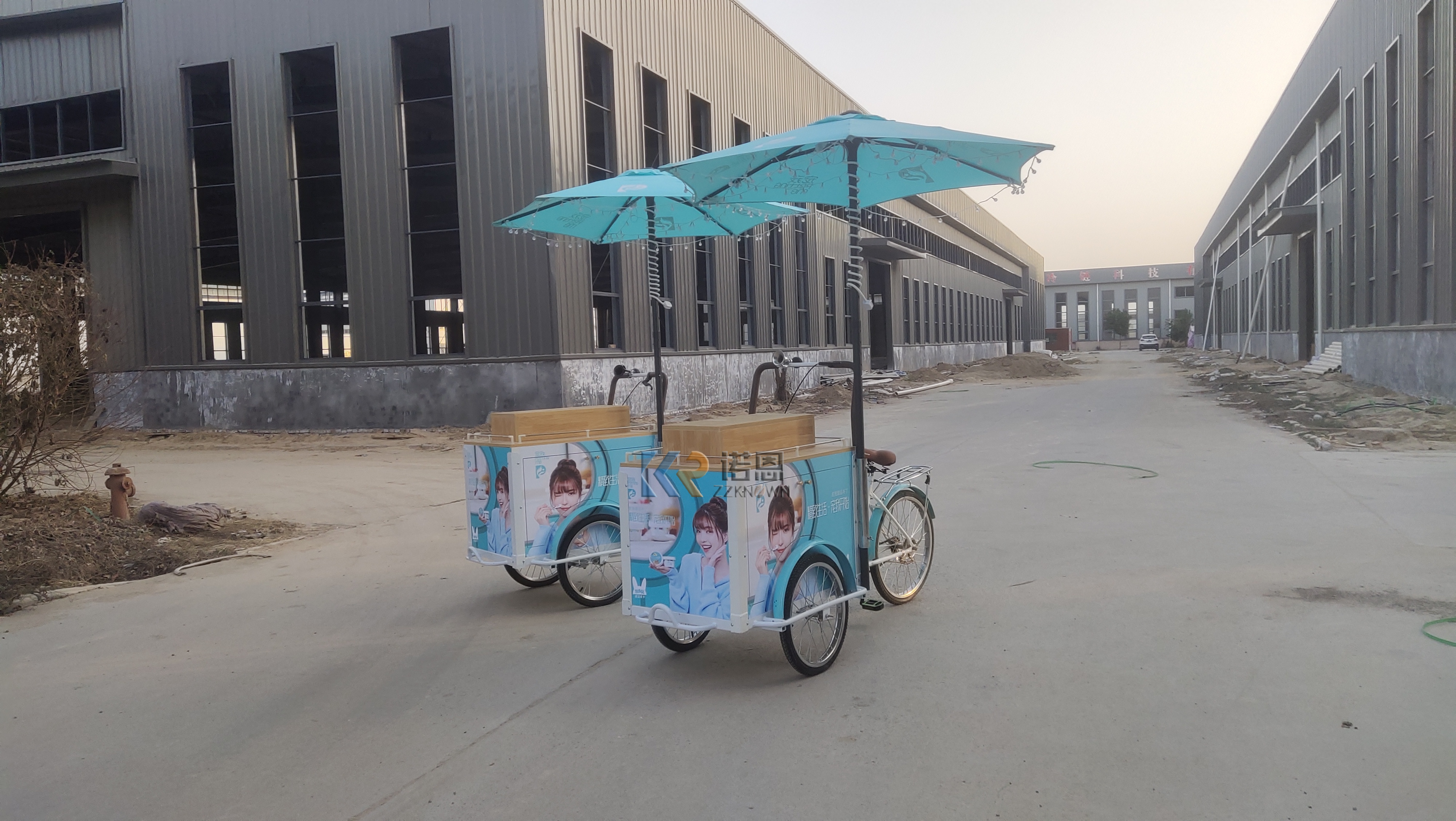 Concession Mobile Round Fast Food Trailer For Ice Cream Carts Sale Ice Cream Tricycle Cart with Freezer
