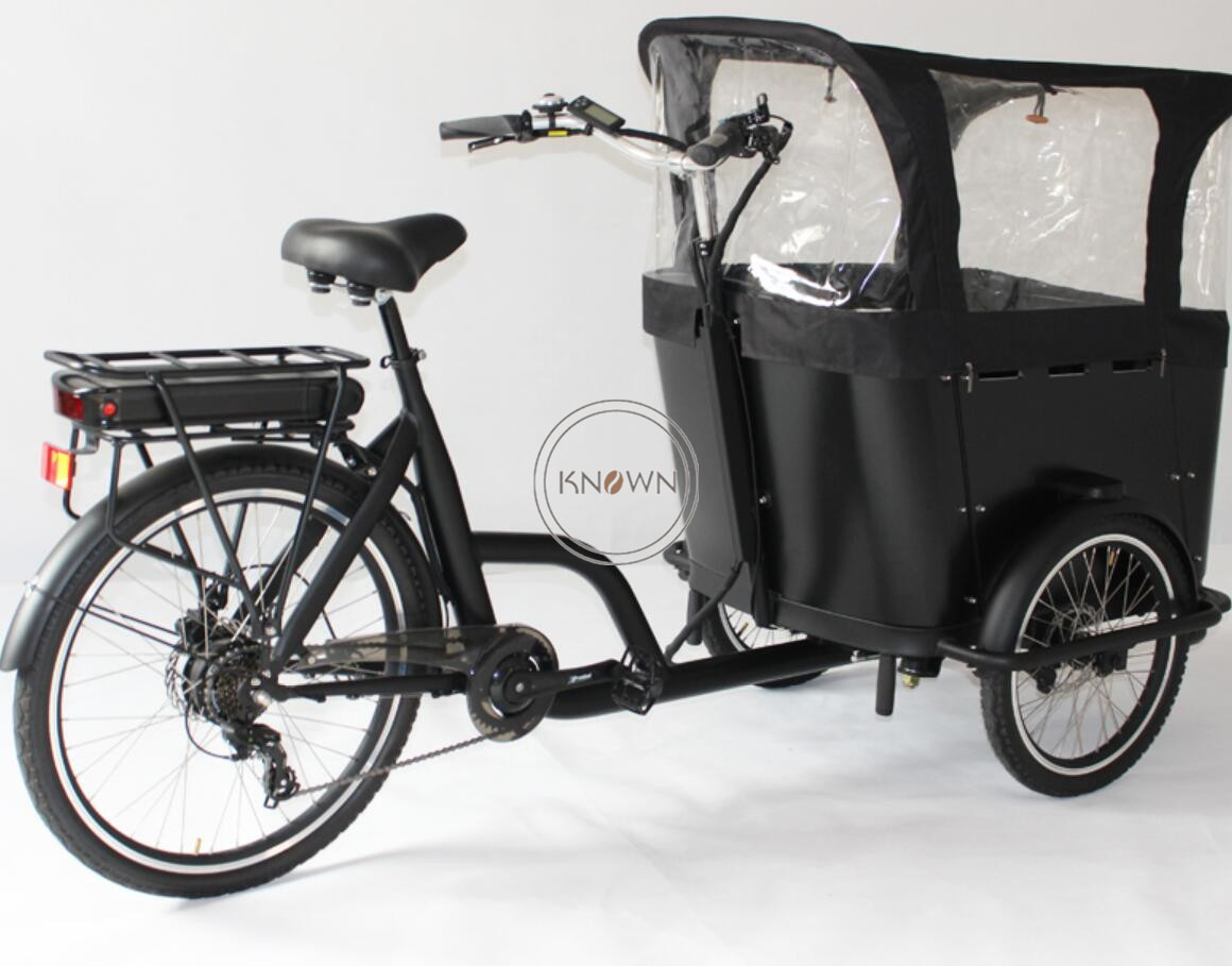3 Wheel Tricycle Family Cargo Bike for Carry Children Dutch Cargo Bike Electric Pedal