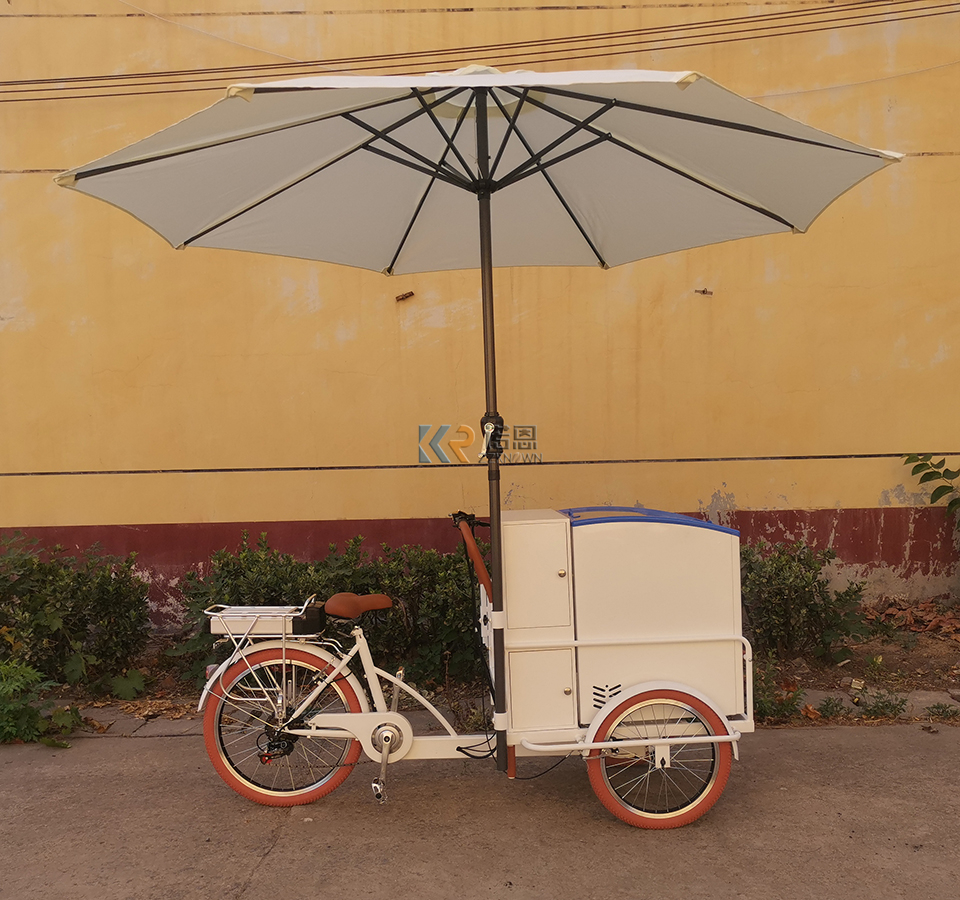 Mobile 3 Wheel Electric Freezer Trike Ice Cream Cargo Bikes for Sale Tricycle Cart with Ice Box