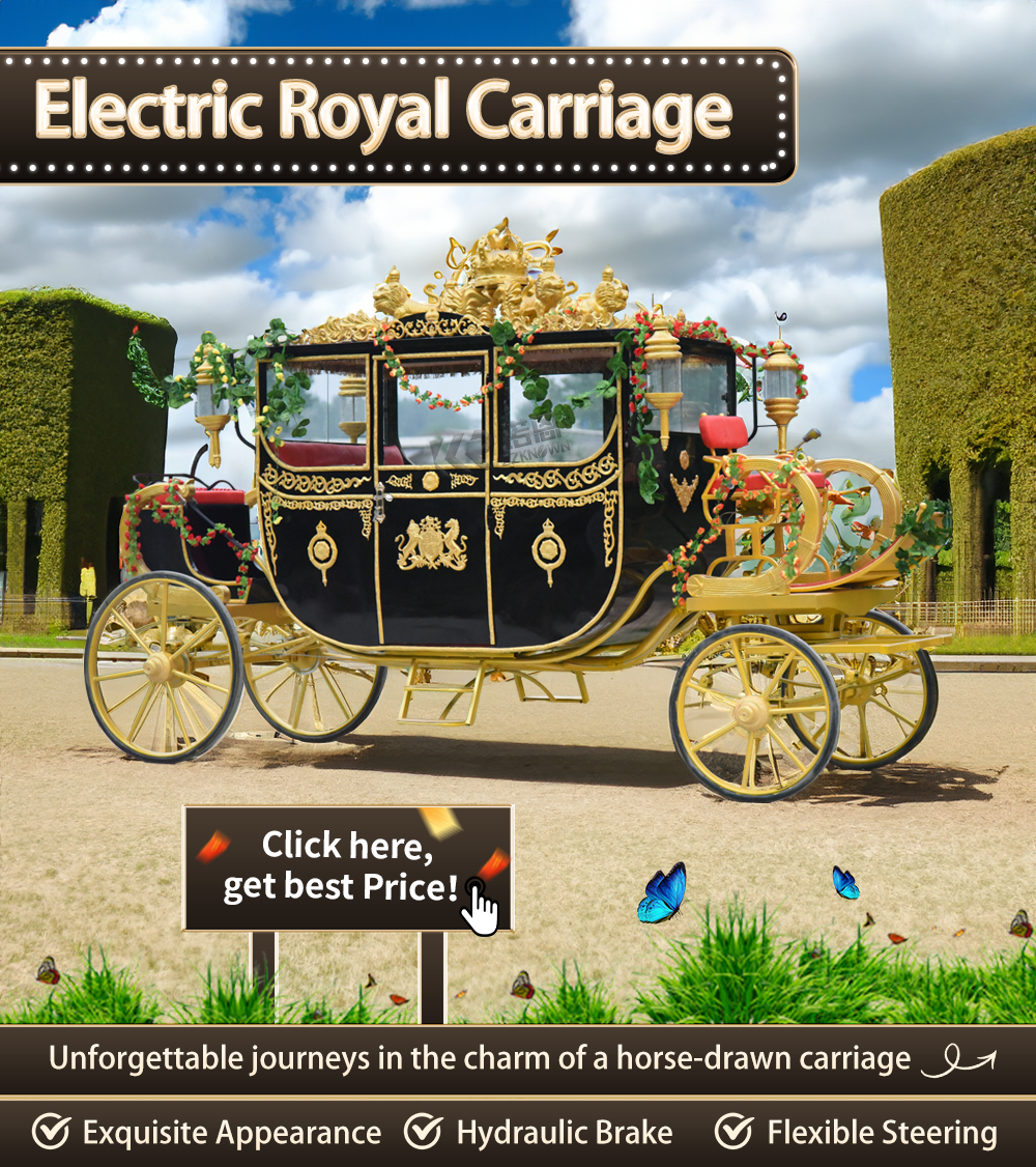 Horse Carriage d1 (6)