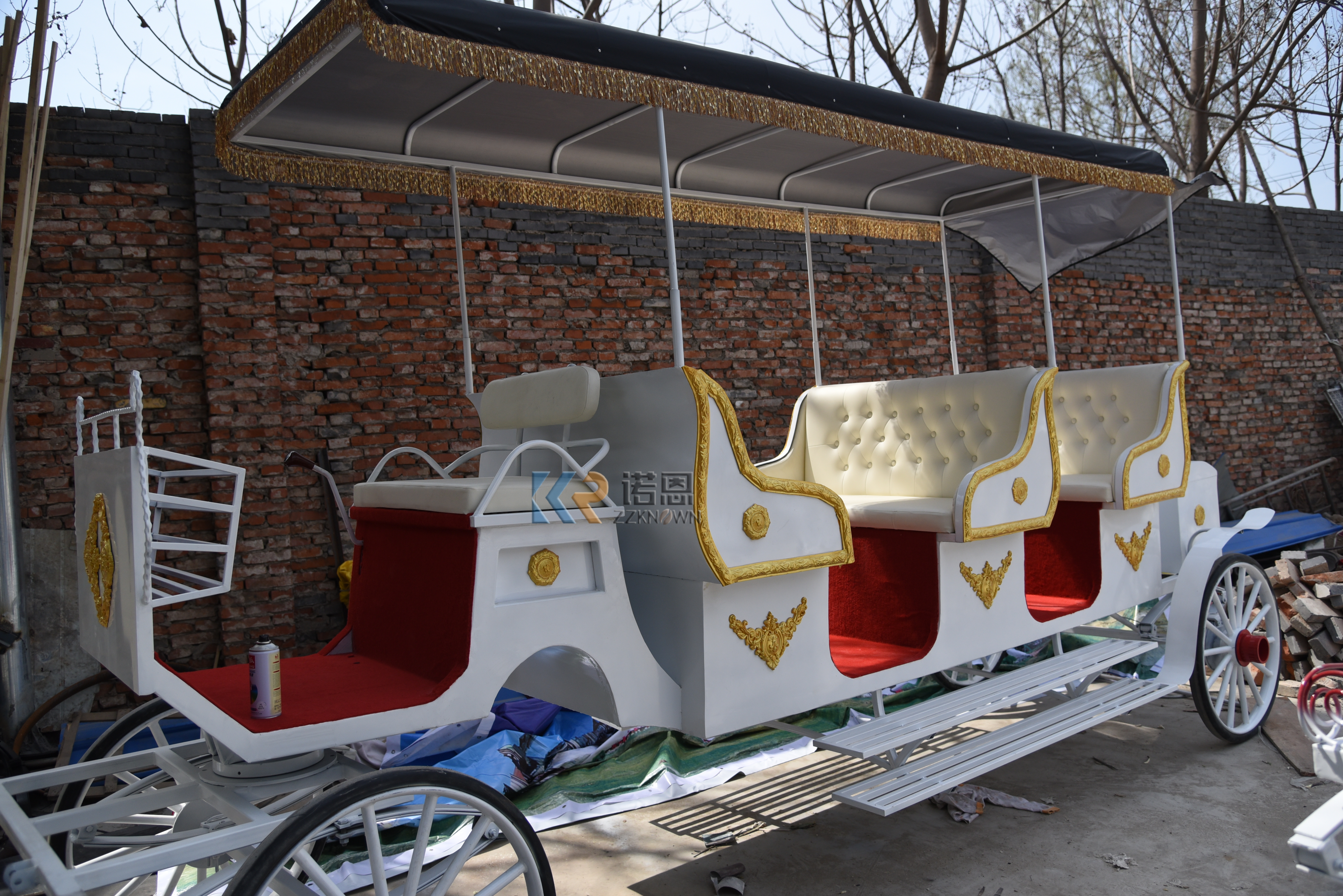 Sightseeing carriage (1)