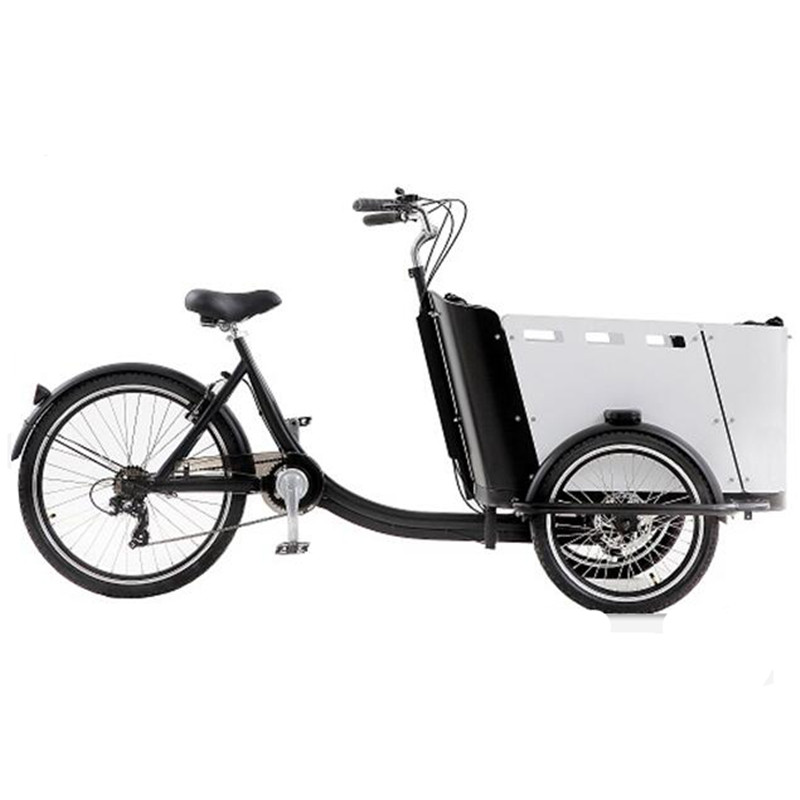4 Seats Electric Family Cargo Bike Adult Tricycle for Transport And Grocery Shopping The Most Advanced Cargo Bike Ever Built