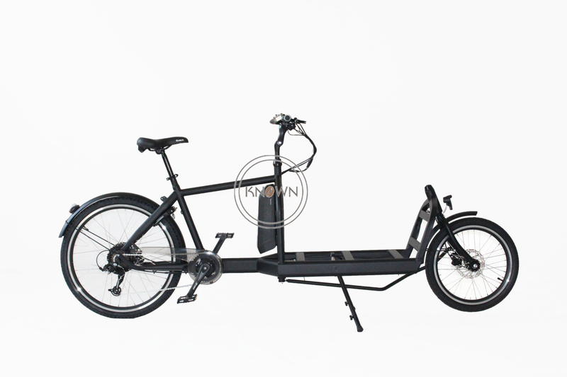 Family E-cargo Electric Bike Cargo Two Wheel Electric Cargo Bike with Passenger