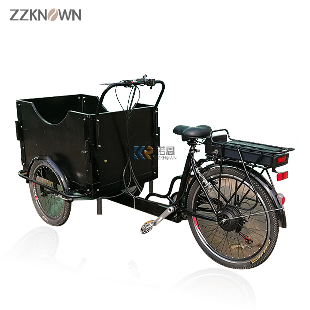 Motorized Cargo Trike 3 Wheel Tricycle for Family Use Factory Price Bike