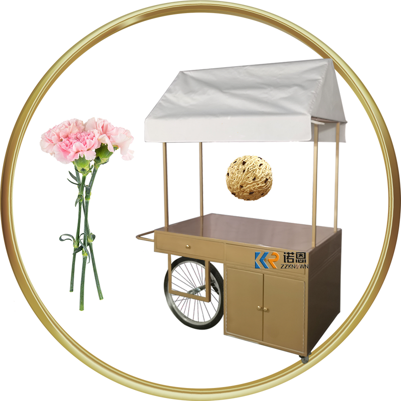 Big Capacity Ice Cream Bike Cart Ice Cream Trolley Cart Ice Cream Vending Gelato Push Cart For Sale
