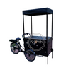 Customized Cargo Electric Tricycle for Sale Flower Adult Manpower 3 Wheel Bike with CE Certification
