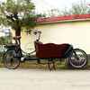 Fast Delivery Electric Bicycles with Front Cargo Box Dutch Ebike Electric Cargo Bike