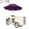 Electric Ice Cream Tricycle Cart Bike for Sale Cabin Cargo Tricycle with Freezer for Food Delivery 