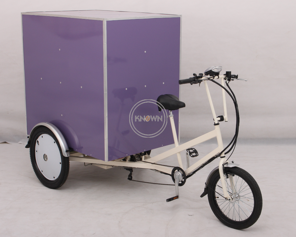 OEM Outdoor Electric Cargo Bike Tricycle Mobile Truck Food Carry Goods 3 Wheel Cart for Sale
