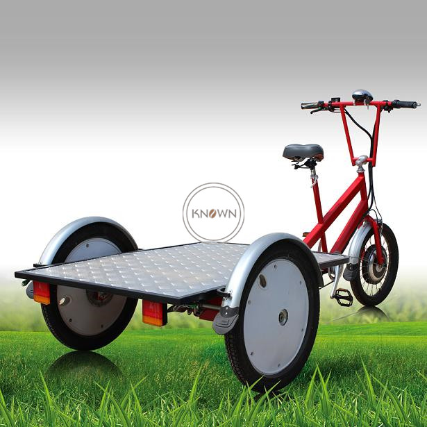 OEM Outdoor Electric Cargo Bike Baggage Transport Bike Flatbed Tricycle for Sale
