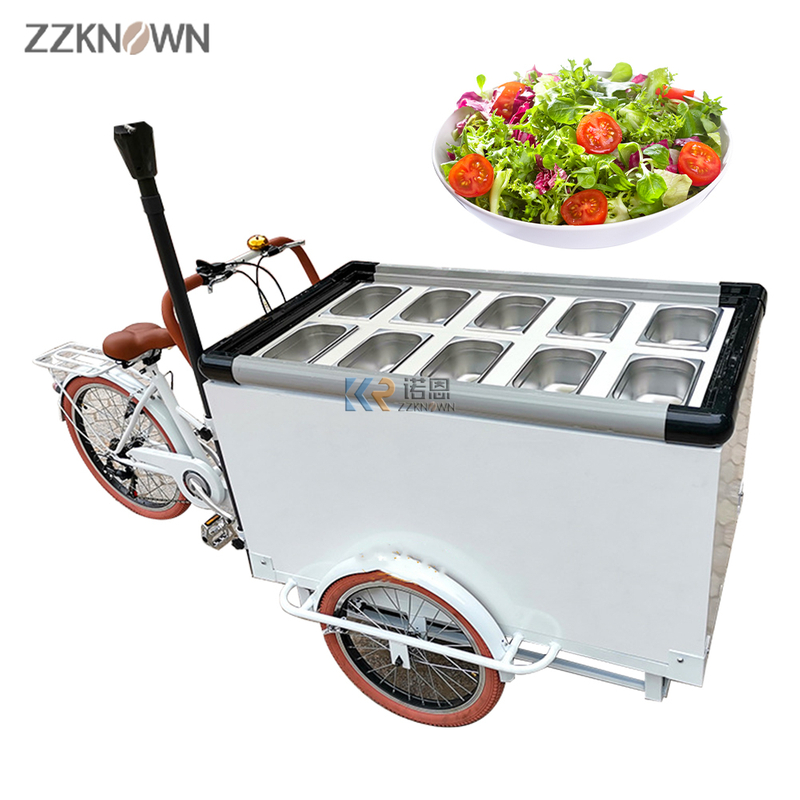 Vending Ice Cream Bike Freezer Display Cart Fruit Salad Retail Trike Electric Cargo Bike Mobile Fridge Fruit Tricycle for Sale