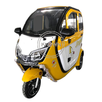 New Design EEC Approval 1000w Power Adult 3 Wheel Electric Motorized Tricycle