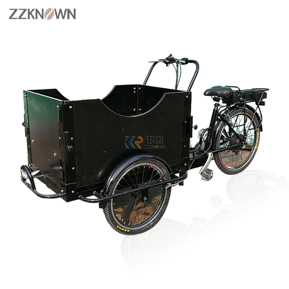 Motorized Cargo Trike 3 Wheel Tricycle for Family Use Factory Price Bike