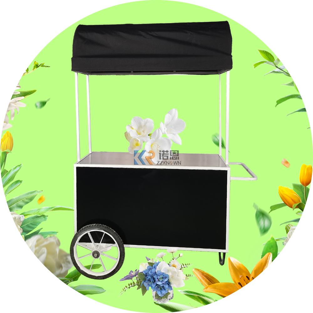 Cheap Trailer Mobile Food Vending Trailer Flower Vending Cart Custom Design Stainless Steel Mobile Ice Cream Gelato Cart with Bike