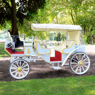 OEM Royal Prince William Tour Electric Cart Romantic Wedding Sightseeing Horse Carriage top Quality Horse Carriage