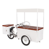 2020 New Mobile Electric Ice Cream Cargo Bike With High Capacity Freezer for Sell Cold Drinks Such As Cola Beer Adult Tricycle