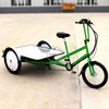 3 Wheel Electric Cargo Bicycle Customized Transport Bike for Last Mile Delivery 