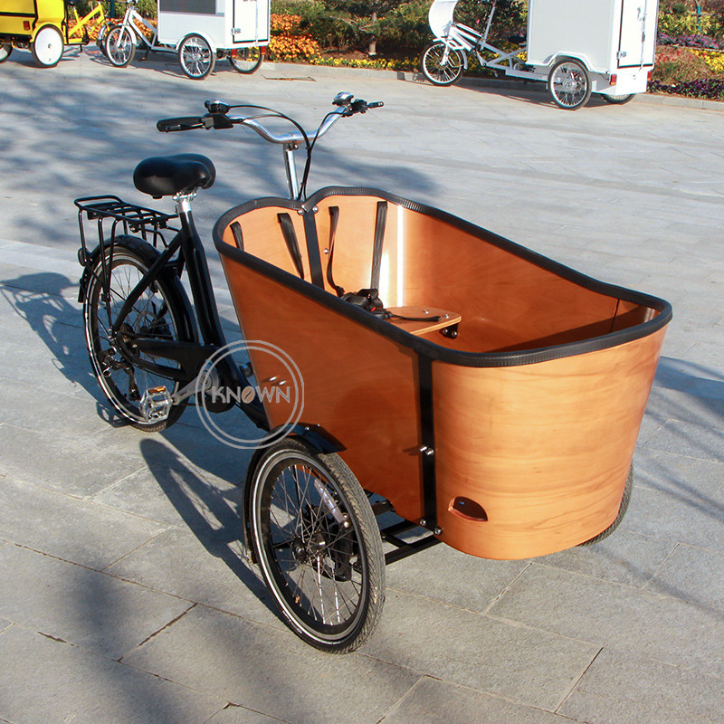 Cargo Tricycle Electrics Cheap Tricycles Box Front Support Pedal Cargo Bike 