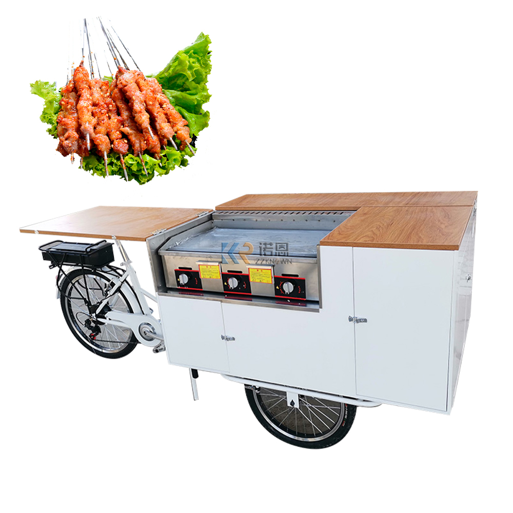 Pedal Assist Electric Bike BBQ Grills Fast Food Carts And Food Trailer Barbecue Street Dining Bicycle Tricycle with Griddle
